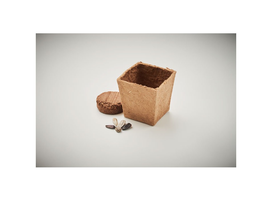 SUNFLOWER KIT - Kit per la coltivazione di semi di