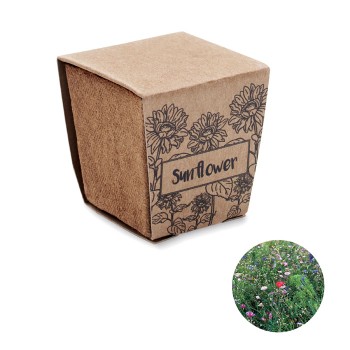 SUNFLOWER KIT - Kit per la coltivazione di semi
