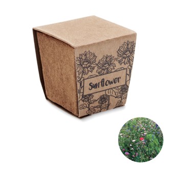 SUNFLOWER KIT - Kit per la coltivazione di semi