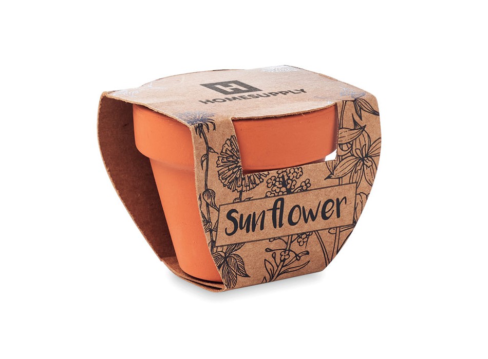 SUNFLOWER - Semi di girasole