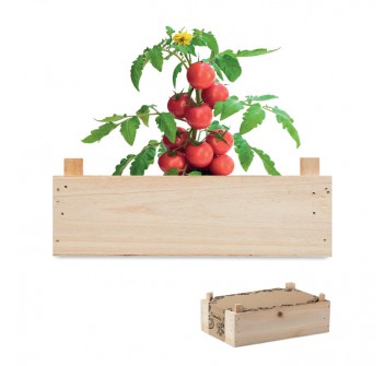 TOMATO - Kit di semi di pomodor