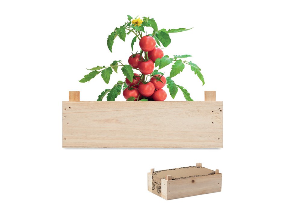 TOMATO - Kit di semi di pomodor