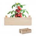 TOMATO - Kit di semi di pomodor
