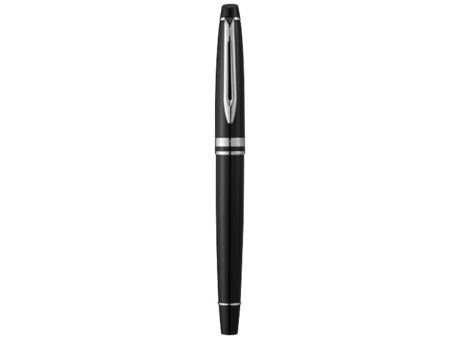 Waterman penna stilografica Expert (inchiostro blu)