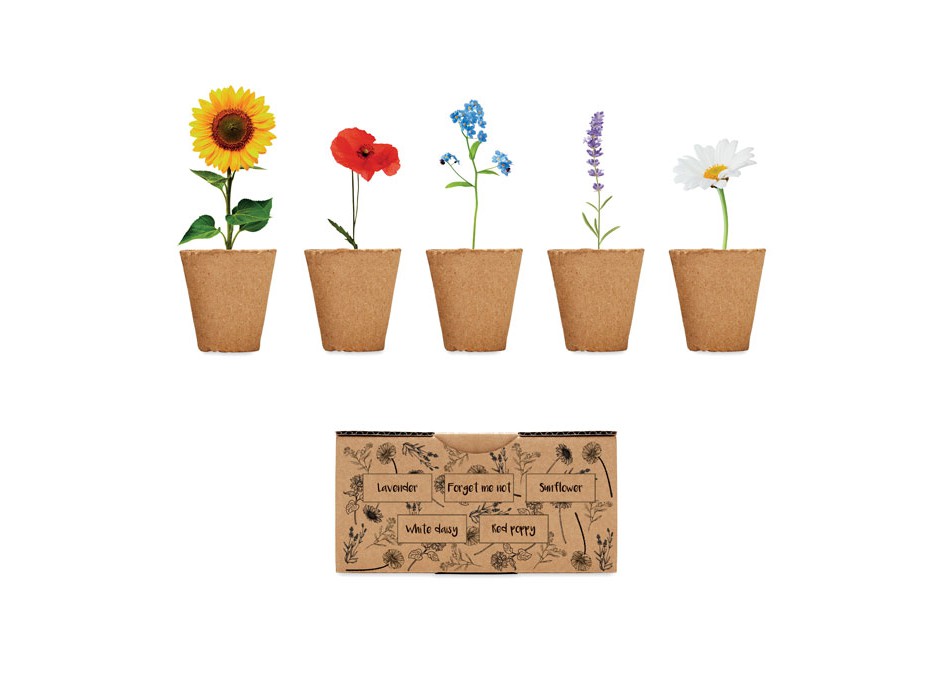 FLOWERS - Kit for growing flowers