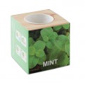 MINT - Mini wooden vase