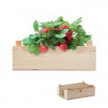 STRAWBERRY - Kit for growing strawberries